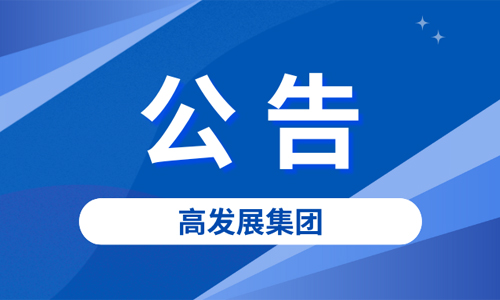 乐山市航达储能科技有限公司财务尽调项目结果公示